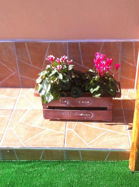 La Casa Dei Nonni Campagna Bagian luar foto